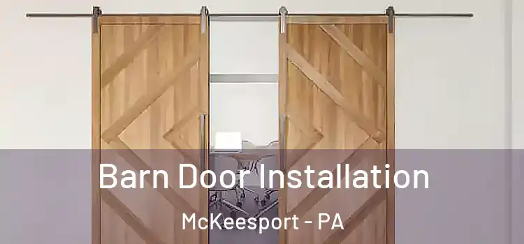  Barn Door Installation McKeesport - PA