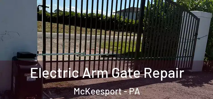 Electric Arm Gate Repair McKeesport - PA
