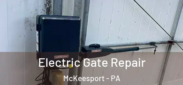  Electric Gate Repair McKeesport - PA