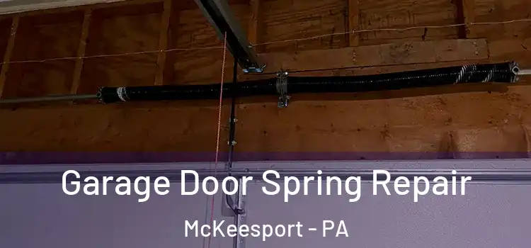  Garage Door Spring Repair McKeesport - PA