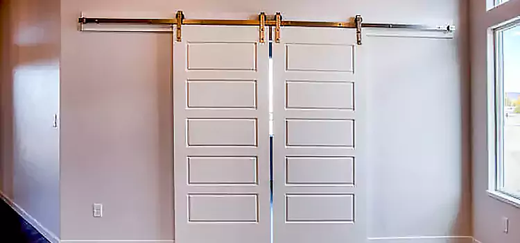 Glass Barn Door with Installation Hardware Kit McKeesport