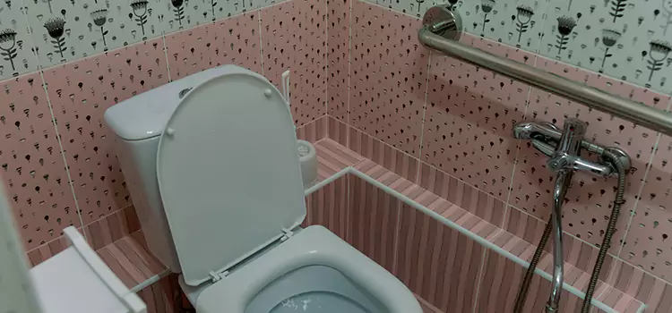 Meeting Diverse Needs With Accessible Restroom Solutions in McKeesport, PA