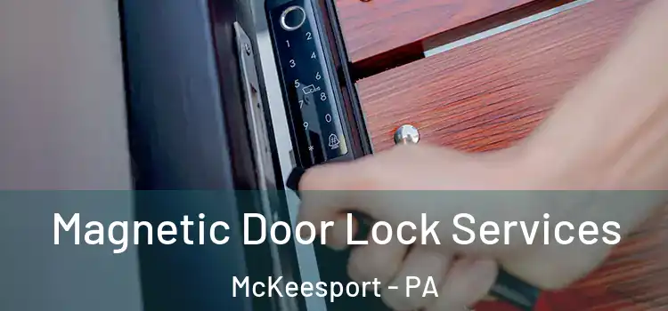 Magnetic Door Lock Services McKeesport - PA