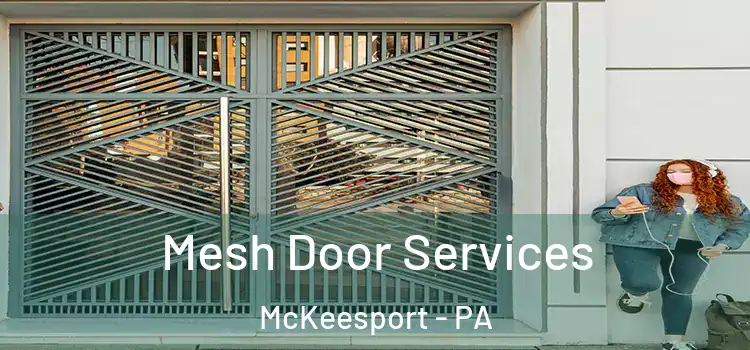  Mesh Door Services McKeesport - PA