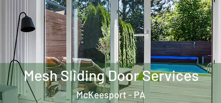  Mesh Sliding Door Services McKeesport - PA