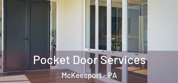 Pocket Door Services McKeesport - PA
