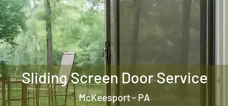  Sliding Screen Door Service McKeesport - PA